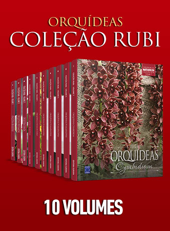 Coleção Rubi: Orquídeas da Natureza