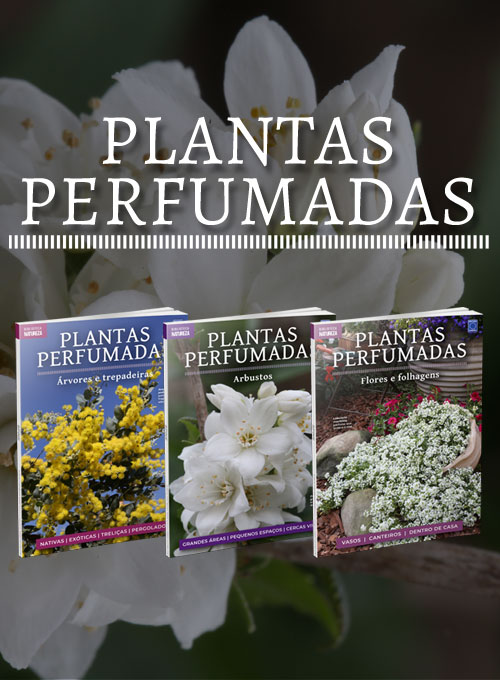 Coleção Plantas Perfumadas - 3 Volumes